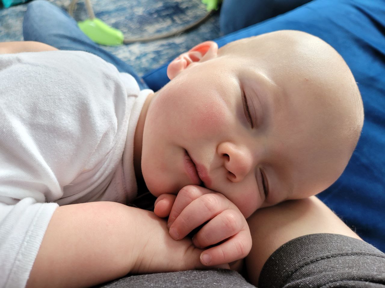 Son of Alex Williams